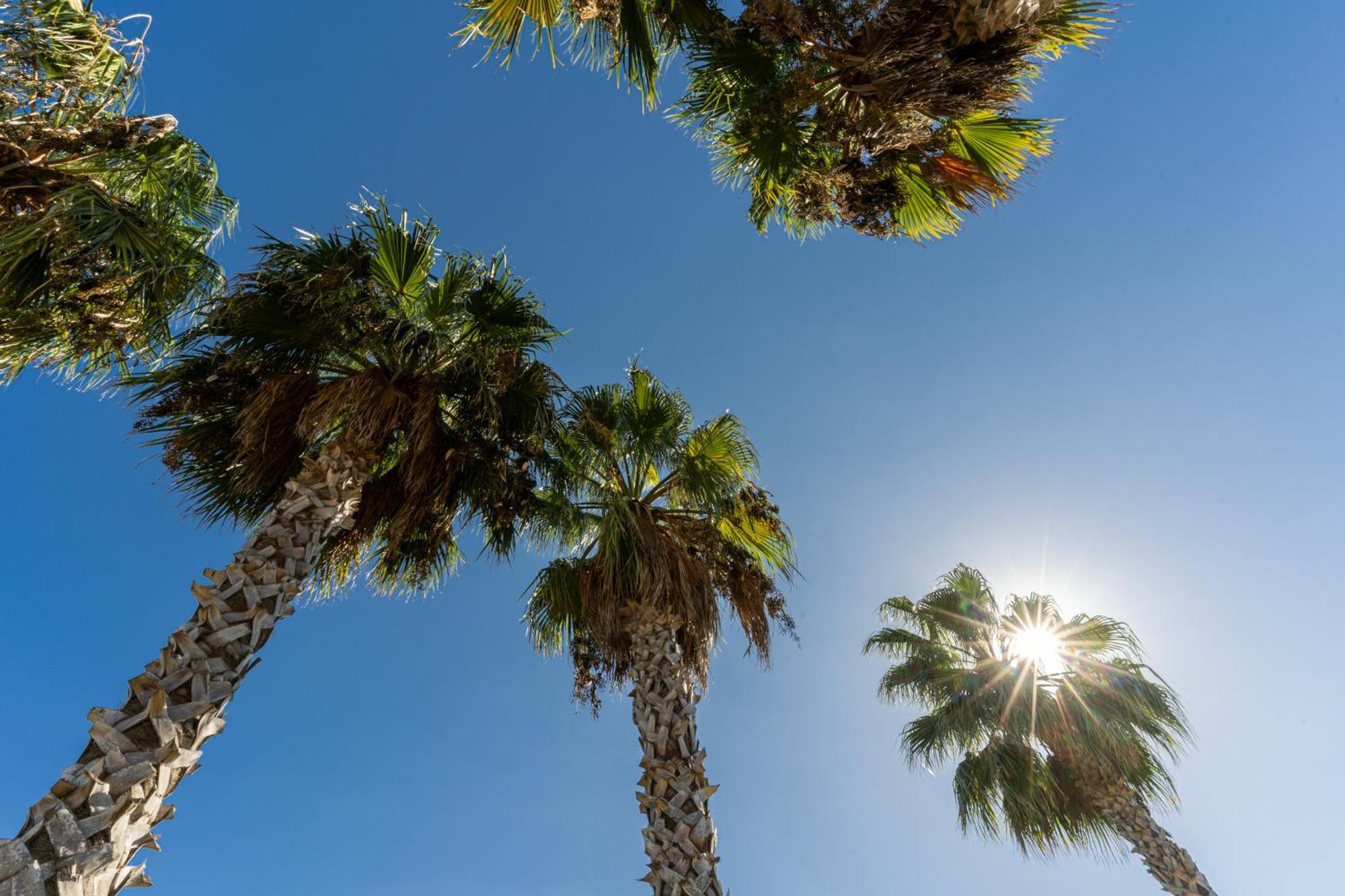 Hotel Masseria Le Pajare プレシッチェ エクステリア 写真